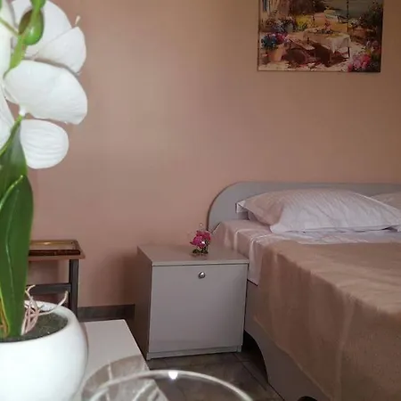 Pensiune Vila Cataleya 3*
